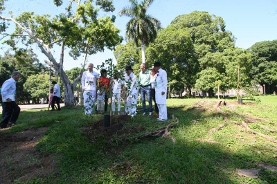 Campo de Santanna Jan 2016-10