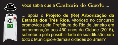 Você Sabia-46